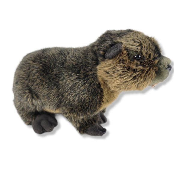Webkinz Signature Gold Beaver Plush WKS1027 No Code - Picture 2 of 7